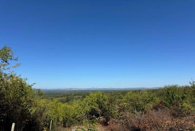 Spațiu comercial, în Valea Călugărească