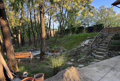 Proprietate unuica la Lugojel - 3