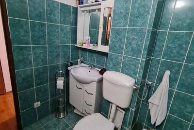 Apartament cu 3 camere decomandat în Terezian - 18