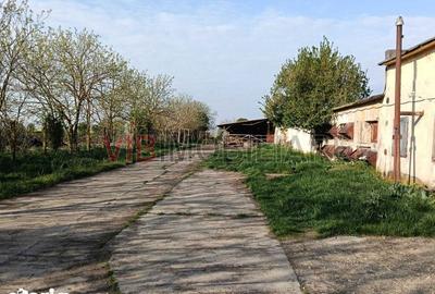 Teren de 40000 mp, în Orțișoara - 1