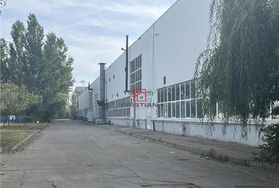 Depozit/hala/spatiu industrial Militari - Timisoara - 6