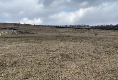 Teren de 428 mp, în Florești - 3