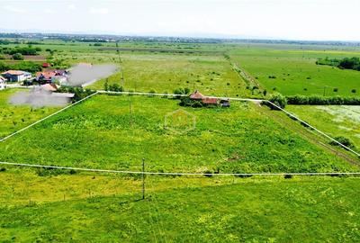 Teren Construcții extravilan de 10850 mp, în Sud - 7