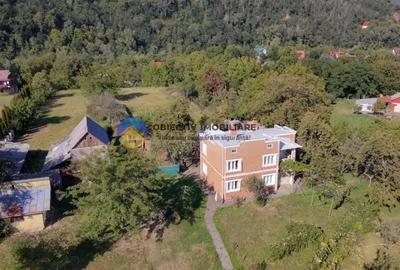 Casa tradi?ionala de vanzare - Alexandru cel Bun- view spre munte si lac - 20