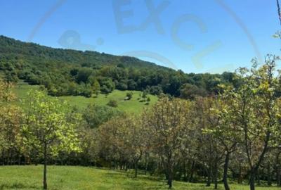 Teren de 12225 mp, în Aranghel - 2