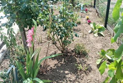 Casa duplex, mobilata si utilata, disponibila imediat - 3