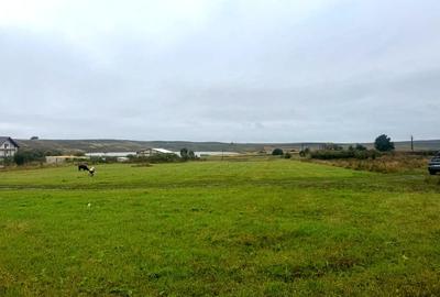 Vanzare 10.000 mp teren Liteni Suceava- la strada -potrivit proiect fonduri - 1