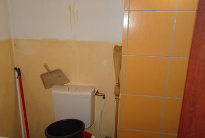 Apartament cu 3 camere decomandat în Bejan - 10