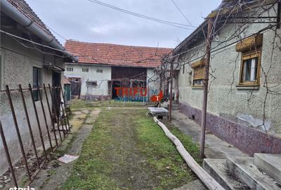 Casă cu 5 camere cu Teren 1651 Mp în Bărăbanț - 2