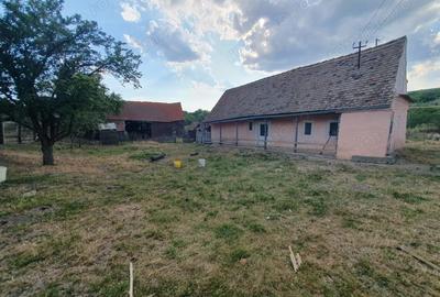 Vand casa cu teren intravilan ?i utilita?i 1701 mp - 5