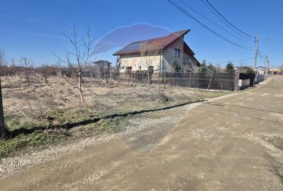 Teren de Vanzare in Gulia - Tartasesti | 2.760 mp | OPORTUNITATE! - 2