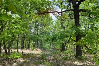 Fost Conac cu padure si teren 54h - 9