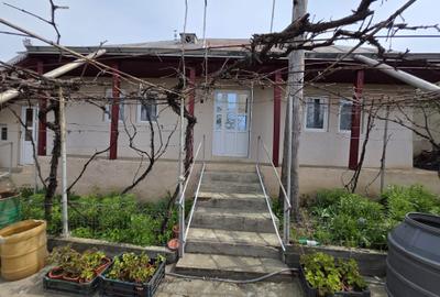 Casă cu 3 camere în Secuieni - 5