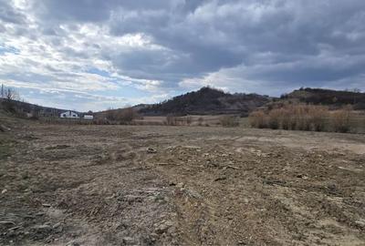 Spațiu comercial, în Sânișor - 1