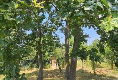 Teren de 572 mp, în Băicoi - 2