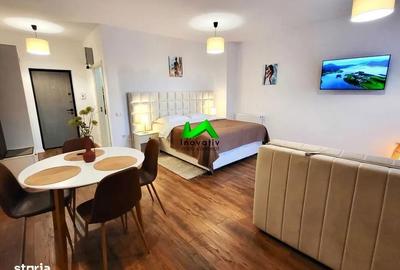 Garsonieră semidecomandată în Turnișor - 1