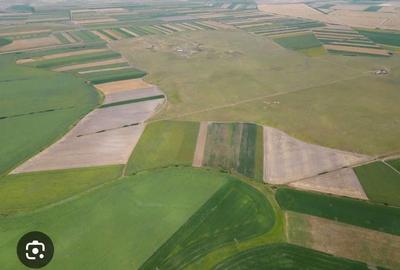 Teren de 30000 mp, în Gângiova - 1