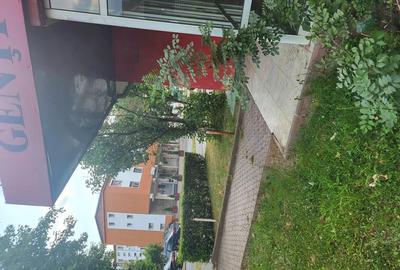 Vand spatiu comercial Hunedoara - 5