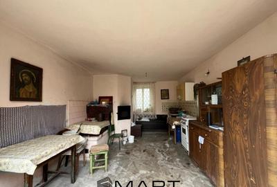Casă cu 2 camere cu Teren 1268 Mp în Gura Râului - 1