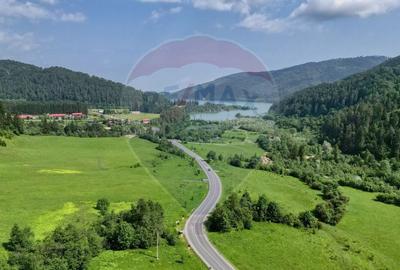 Teren intravilan de 10000 mp, în Brădet - 6