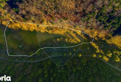 Teren de 17939 mp, în Mănești - 1