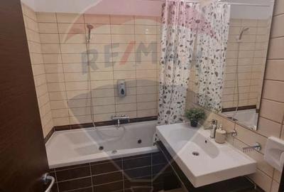 Garsoniera De Inchiriat Asmita Tineretului - 11