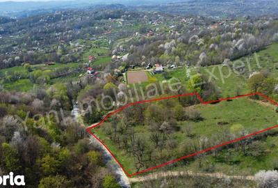 Teren de 15856 mp, în Valea Iașului - 6