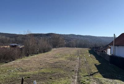 Teren de 6200 mp, în Exterior Vest - 2