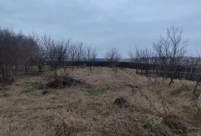 Teren de 7500 mp, în Vornicenii Mici