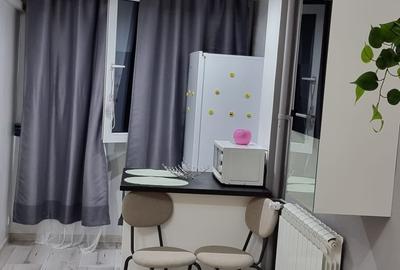 Garsonieră semidecomandată, mobilată în Costin Georgian - 9