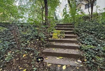 Studio Cismigiu cu acces la gradina comuna - 12