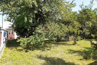 Casa 3 camere, teren 3625 mp, toate utilitatile, Sacele, Brasov - 2