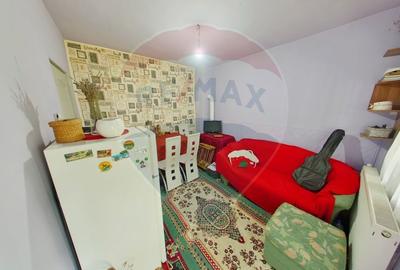 Casa / Vila cu 4 camere de vanzare in zona Ultracentral - 8