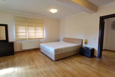 Vila spatioasa, mobilata, piscina proprie - 8