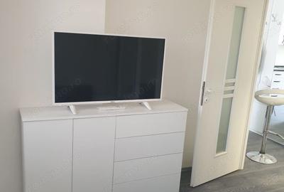 Apartament cu 2 camere semidecomandat în Tei - 3