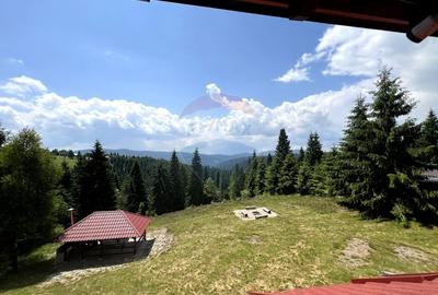 Casă individuală cu 4 camere cu Garaj în Beliș - 33