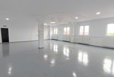 Spațiu industrial, de 415 mp, în Central - 2