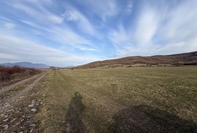 Spațiu comercial, în Unirea - 4