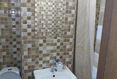 Inchiriez apartament cu doua camere in Ha?eg situat la parter utilat si mobilatr - 5