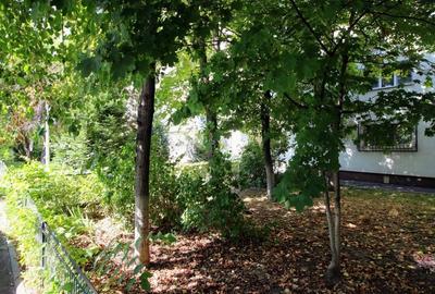 Turda - Parcul Regina Maria, 2 camere, decomandat, parter cu balcon, bloc 1982 - 13