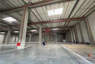 Spațiu comercial, de 10,000 mp, în Ștefăneștii de Jos - 9