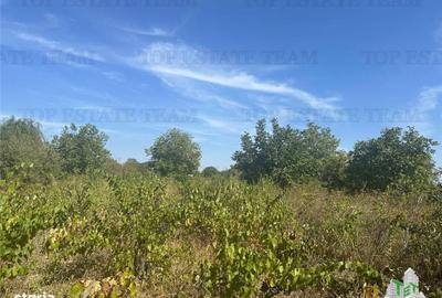 Spațiu comercial, în Vadu Anei - 1