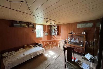 Casa in curte comuna cu acces separat langa Colegiul Banatean - 3