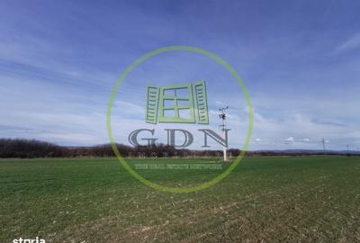 Spațiu comercial, în Saca - 9