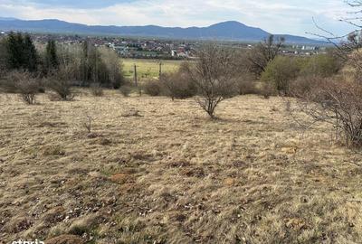 Teren de 6000 mp, în Cristian - 3