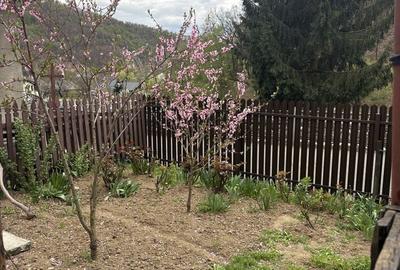 Casă cu 2 camere în Ferneziu - 8