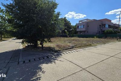 Spațiu comercial, în Tomis Plus - 2