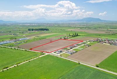 Teren Intravilan - 15