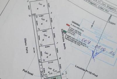 Spațiu comercial, în Central