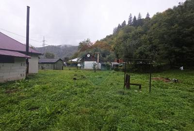 Casa / Vila cu 4 camere de vanzare Tarcau - 20